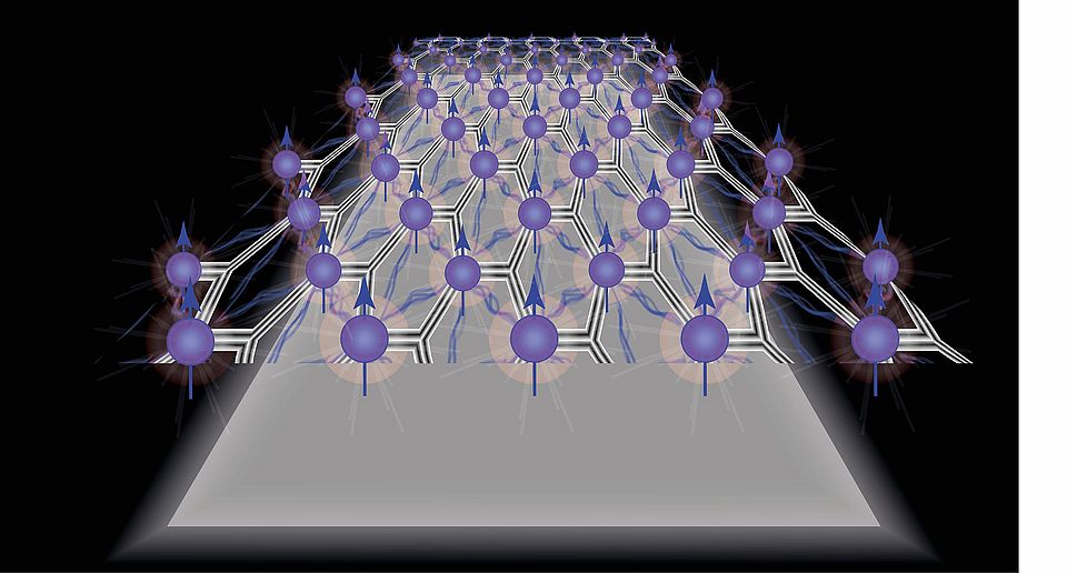 Spontaneous spin polarization demonstrated in a two-dimensional material