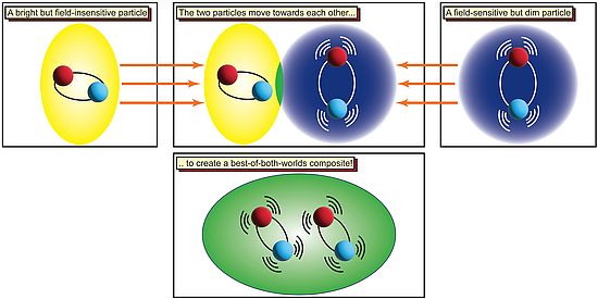 Coupling of electron hole pairs