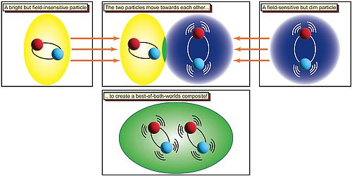 Coupling of electron hole pairs