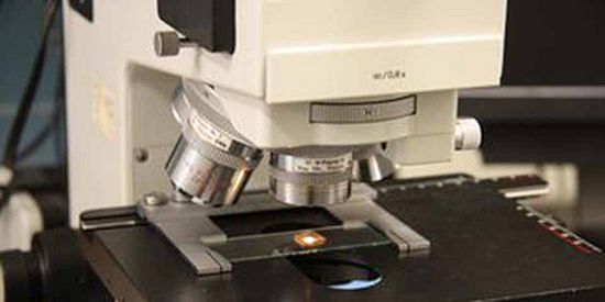 Technologie DienstleistungenAufrechtes Lichtmikroskop mit Farbvideokamera und digitaler Bildverarbeitung. Vergrößerung von 50 bis 1000 Mal.