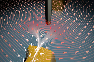 Nanowires as Sensors in New Type of Atomic Force Microscope