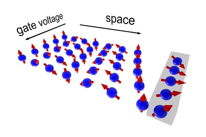 Manipulating electron spins without loss of information 