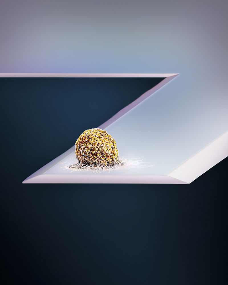 A contribution from a collaboration between University of Basel and ETH Zürich has been picked for Nature's "2017 in pictures"! 