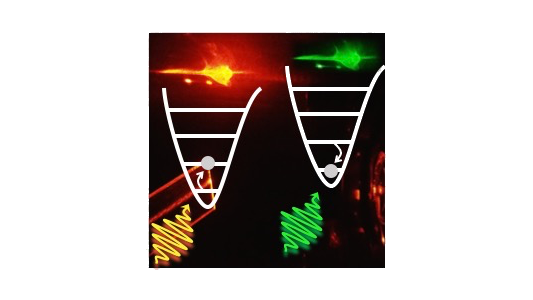 Recording the birth and death of a single phonon